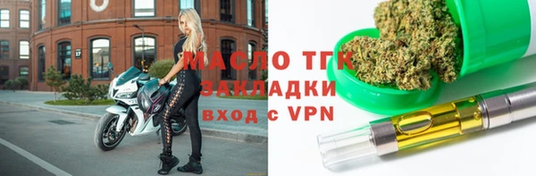 индика Нязепетровск