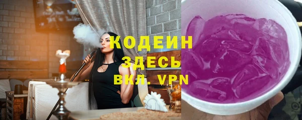 индика Нязепетровск