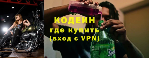 индика Нязепетровск