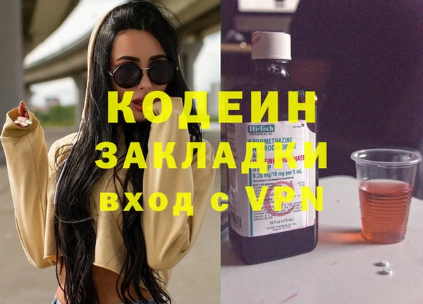 индика Нязепетровск