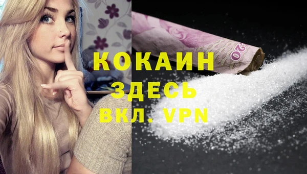 индика Нязепетровск
