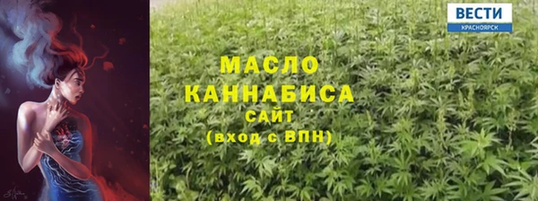 индика Нязепетровск