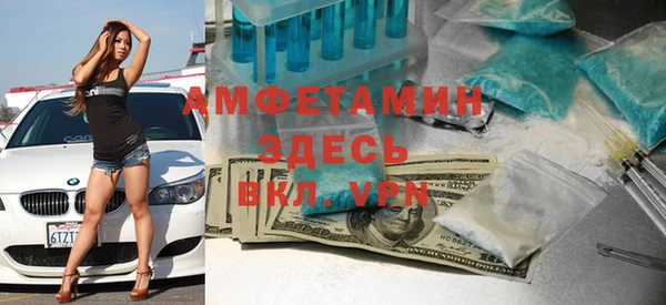 индика Нязепетровск