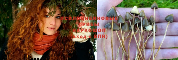 скорость Новодвинск