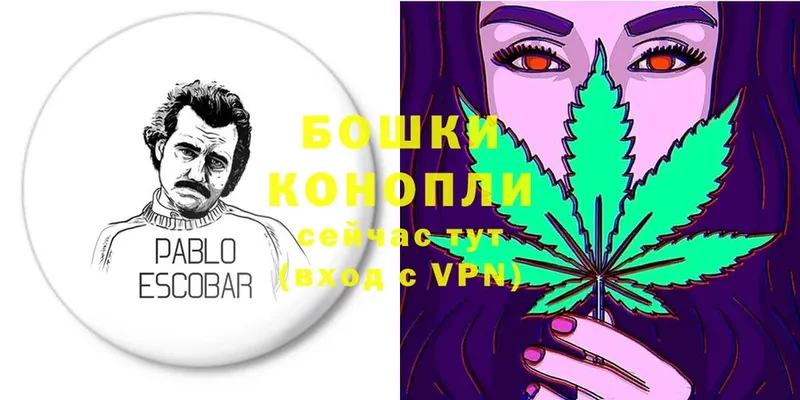 Бошки марихуана OG Kush  hydra ТОР  Райчихинск 