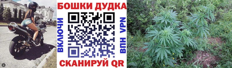 купить   Райчихинск  Конопля VHQ 